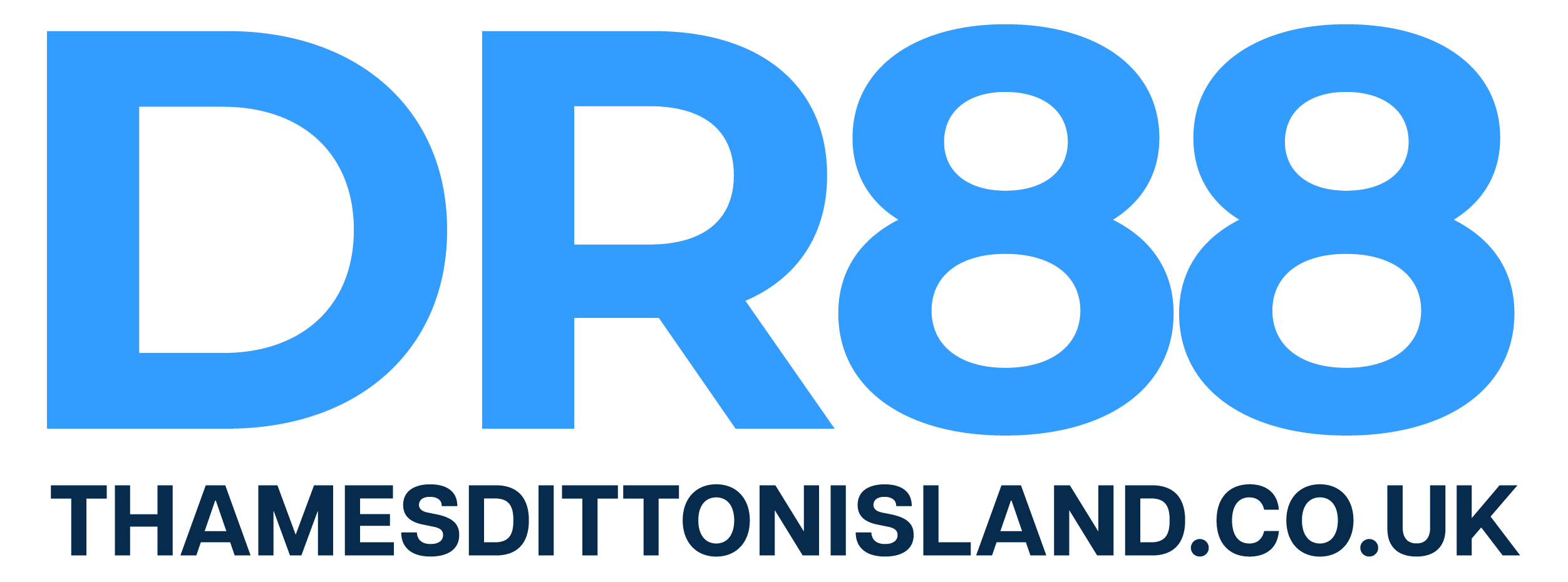 LOGO DR88