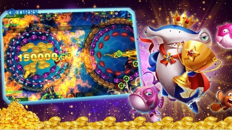 huong-dan-cham-soc-ca-koi-dung-cach