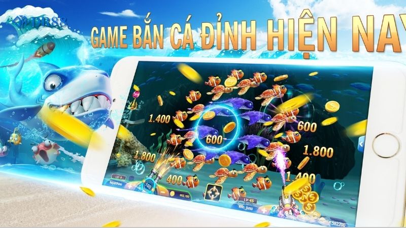 cac-lua-chon-ban-ca-may-xeng-hang-dau