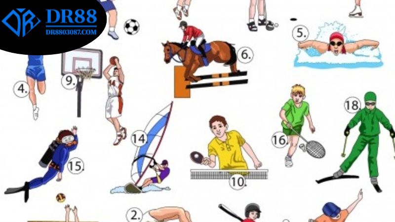 cac-loai-hinh-duoc-cung-cap-o-tai-san-choi-the-thao-dr88