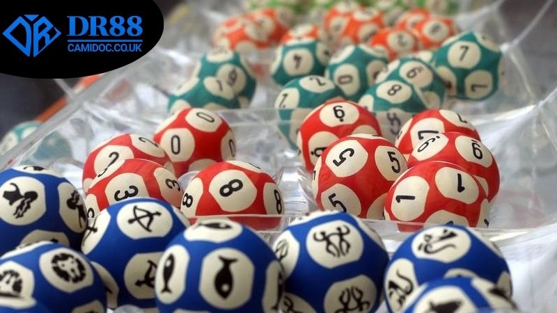 Các hình thức cược lô đề online DR88 phổ biến và cách chơi tối ưu