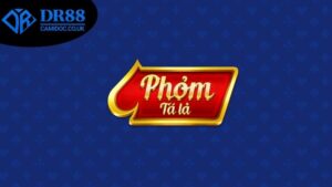 huong-dan-danh-phom-dr88